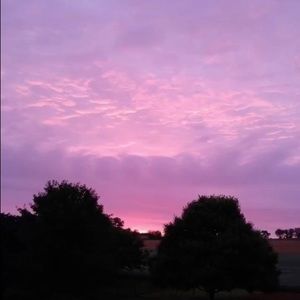 Meet your Posher, Eloisa